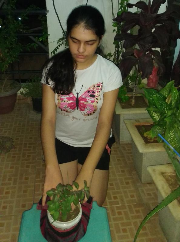 Plant A Tree