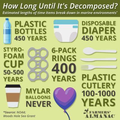 #How long until it is gone?