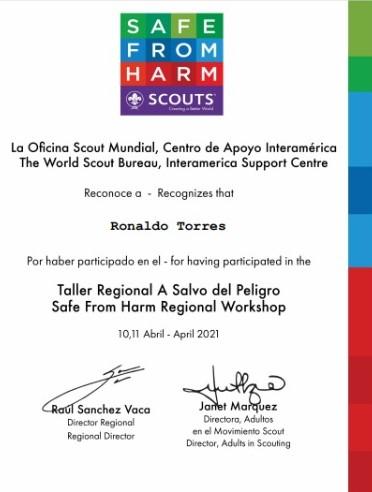 Ronaldo Torres Certificate 