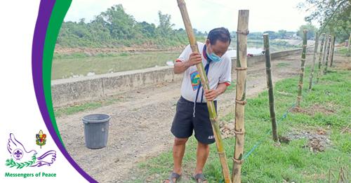 Bamboo Tree Growing Project | Nueva Ecija Council