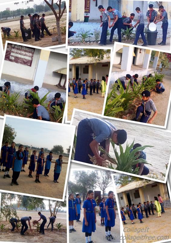 Weekly meeting of Scouts &Guides - KV Fazilka on 07.04.2016 - Service - Gardening, cleanliness work.