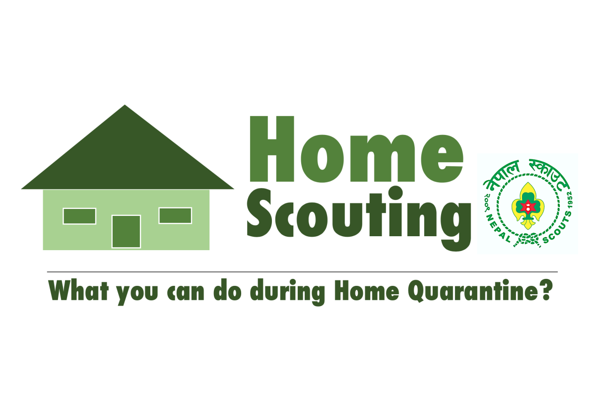 HOME SCOUTING! COVID-19