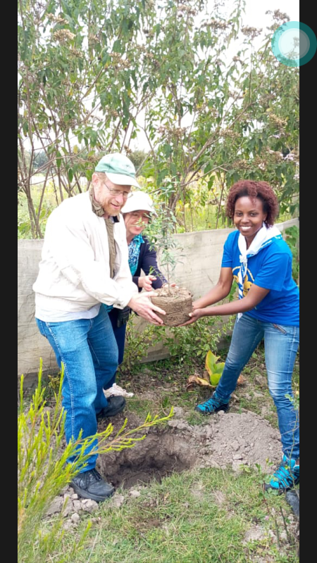 The Brown Olive Project