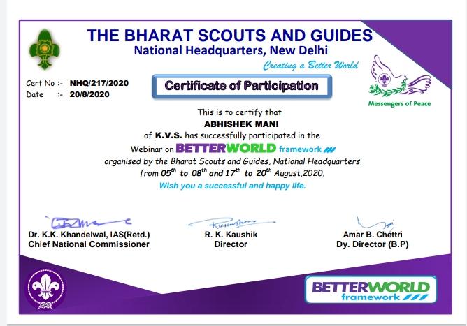 CERTIFICATE OF BWF2020