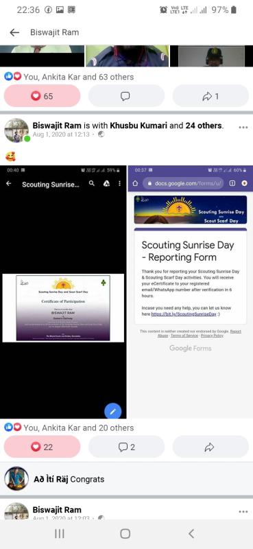 NYF/SUNRISE/SCARF= CERTIFICATE 