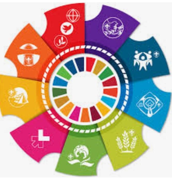 My Report on all the days of Better World Framework
