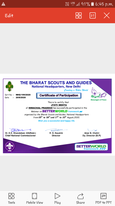 Better World Framework webinar series Certificate 