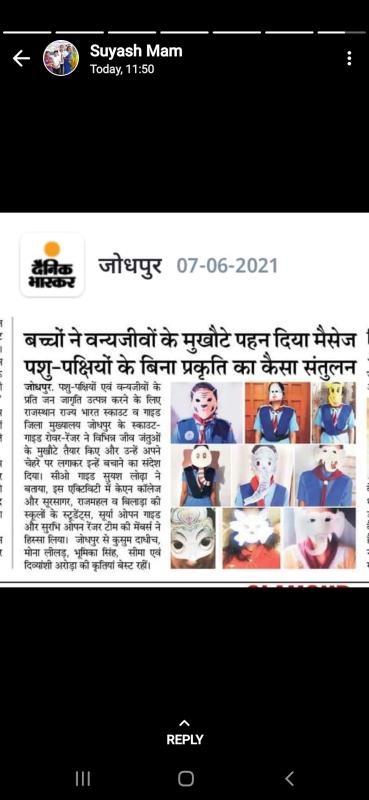 save animals and birds 