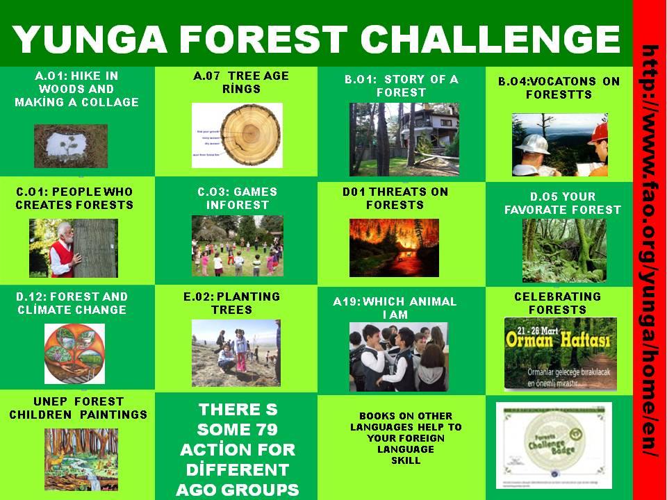 TEMA  WORKS  FOR A BETTER FUTURE 