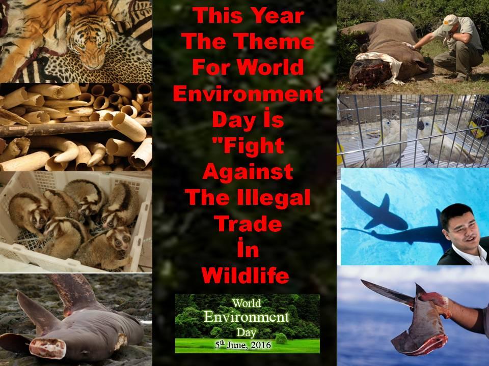 WORLD ENVIRONMENT DAY