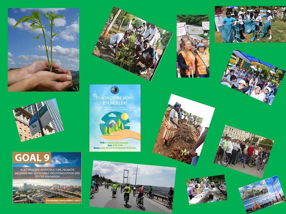 2017 WORLD ENVIRONMENT DAY