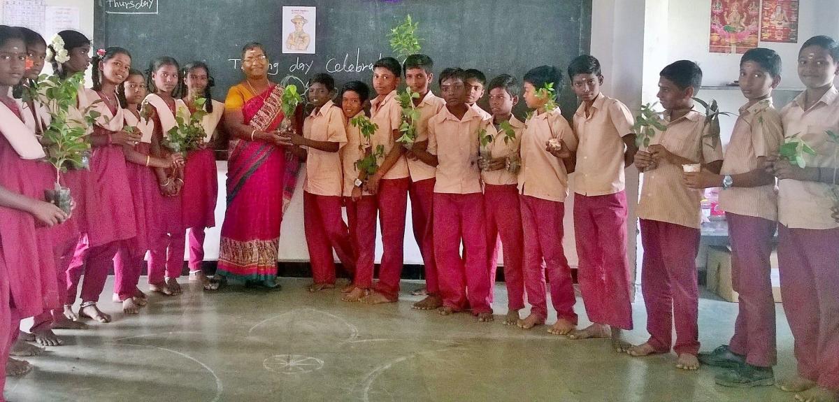 Awareness of Tree Plantation 