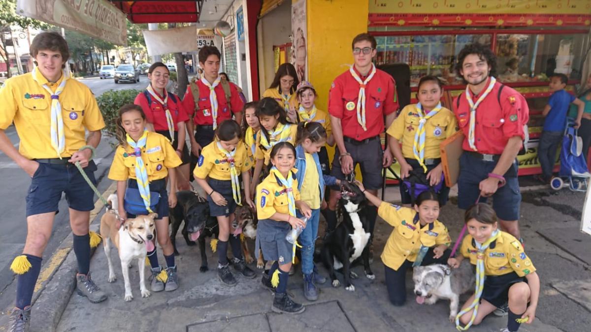 Donación de paseos para perros de albergue -  Manada Grupo 8 BJ