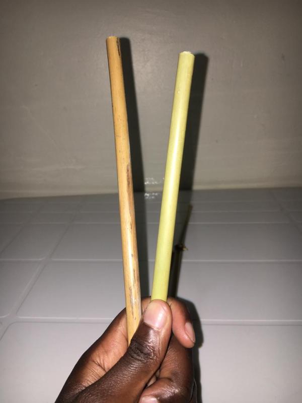 Bamboo Drinking Straws: Substitutes to Conventional Plastic Drinking Straws
