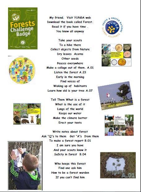 PROMOTING YOUTH AND UNITED NATION GLOBAL ALLIANCE ENVIRONMENT CHALLENGE BADGES WITH RAP