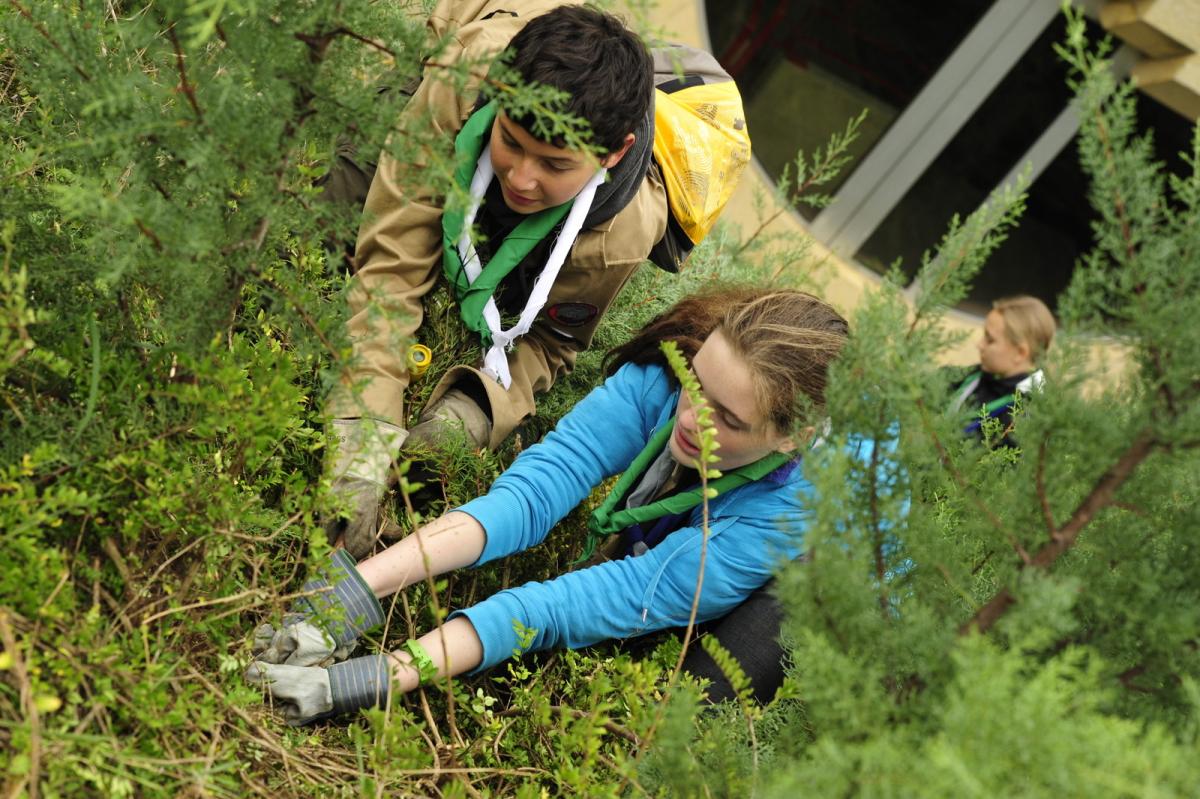 Going Green at the World Scout Committee Meeting