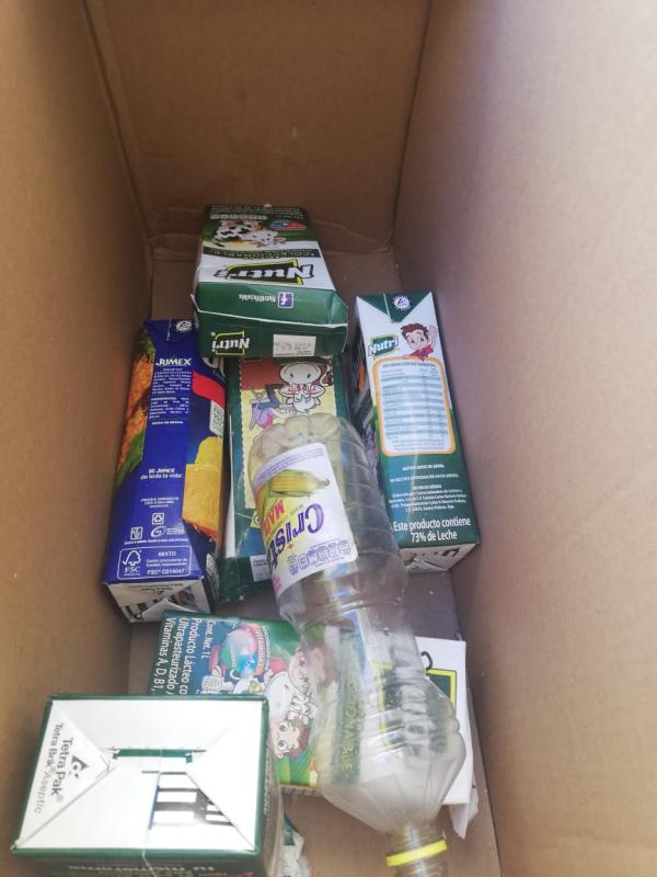 Mares Limpios Bronce