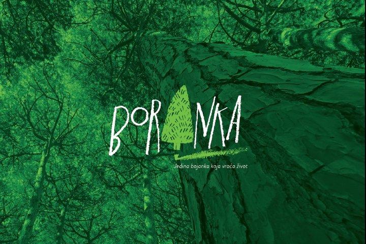 CROATIAN SCOUTS ARE ORGANIZING THE LARGEST VOLUNTARY ACTION OF REFORESTATION OF BURNED AREAS IN CROATIA