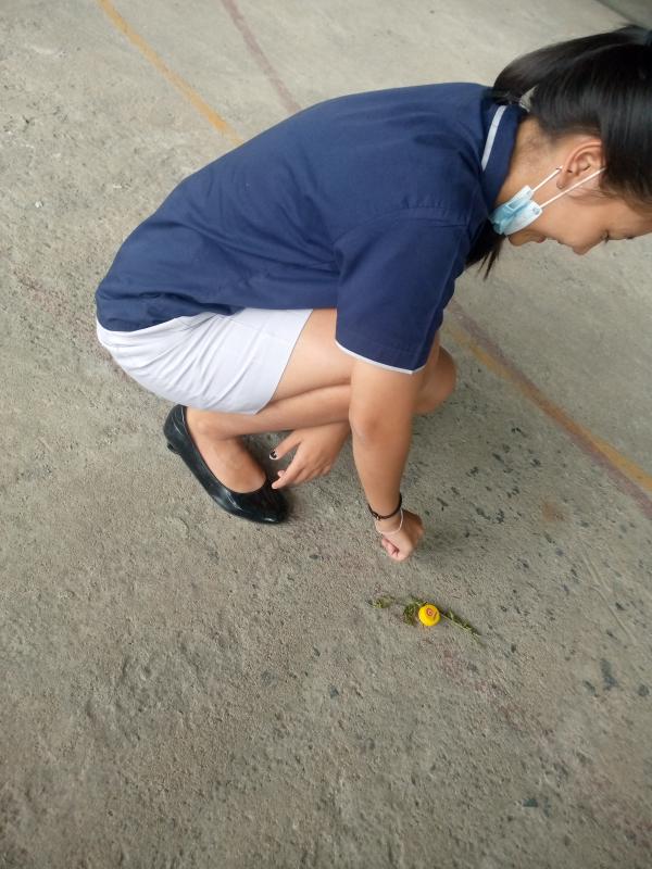 กิจกรรมเก็บขยะ