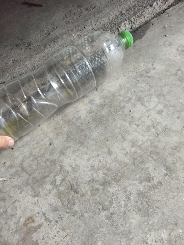 จิตอาสา