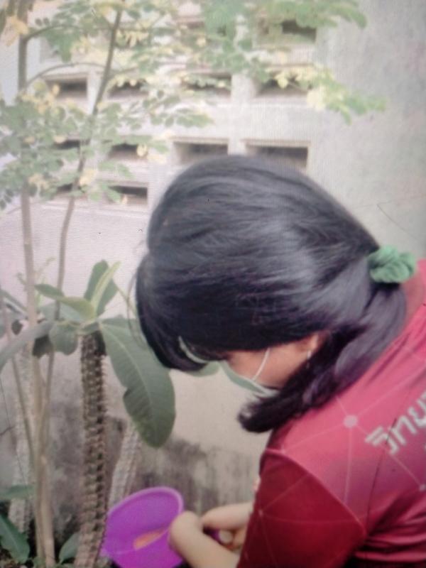 ช่วยรดน้ำต้นไม้