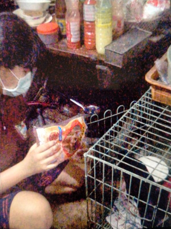 ช่วยเเม่ให้อาหารเเมว