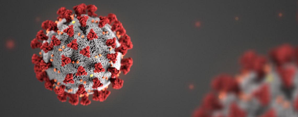 COVID-19 (Symptoms & Prevention) 