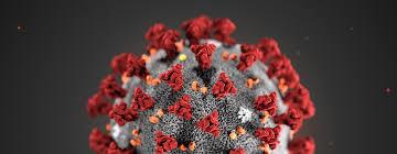 Coronavirus 