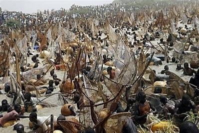 Showcasing The Arugungu fishing festival at Northern Nigeria - Courtesy The Scout Association of Nigeria