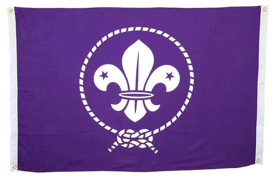 Fly the World Scout Flag!