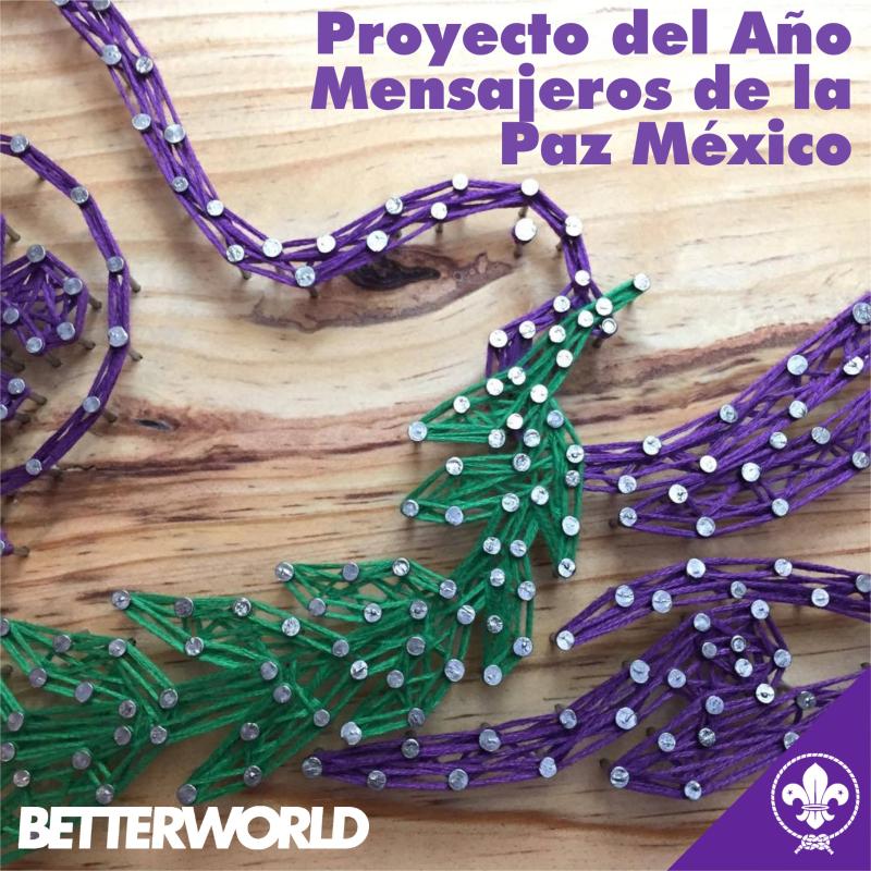Proyecto del Año - Mensajeros de la Paz México. 