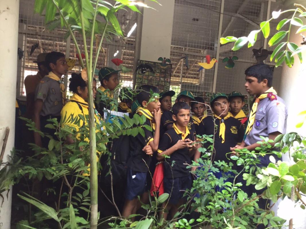 Environmental Protection Awareness programme 