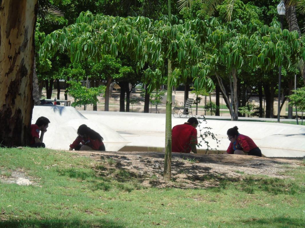 Descubrimiento scouts del mundo. Día 6