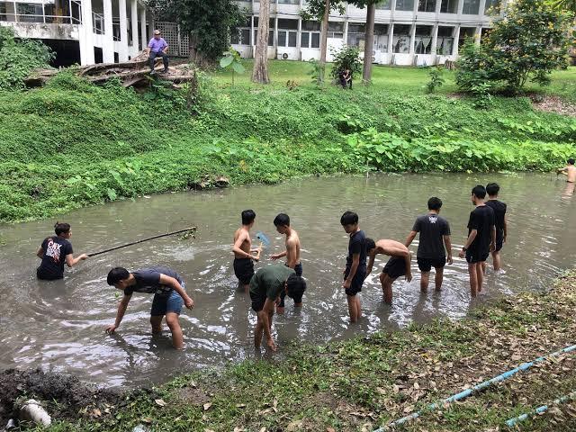 ทำความสะอาดคูคลอง