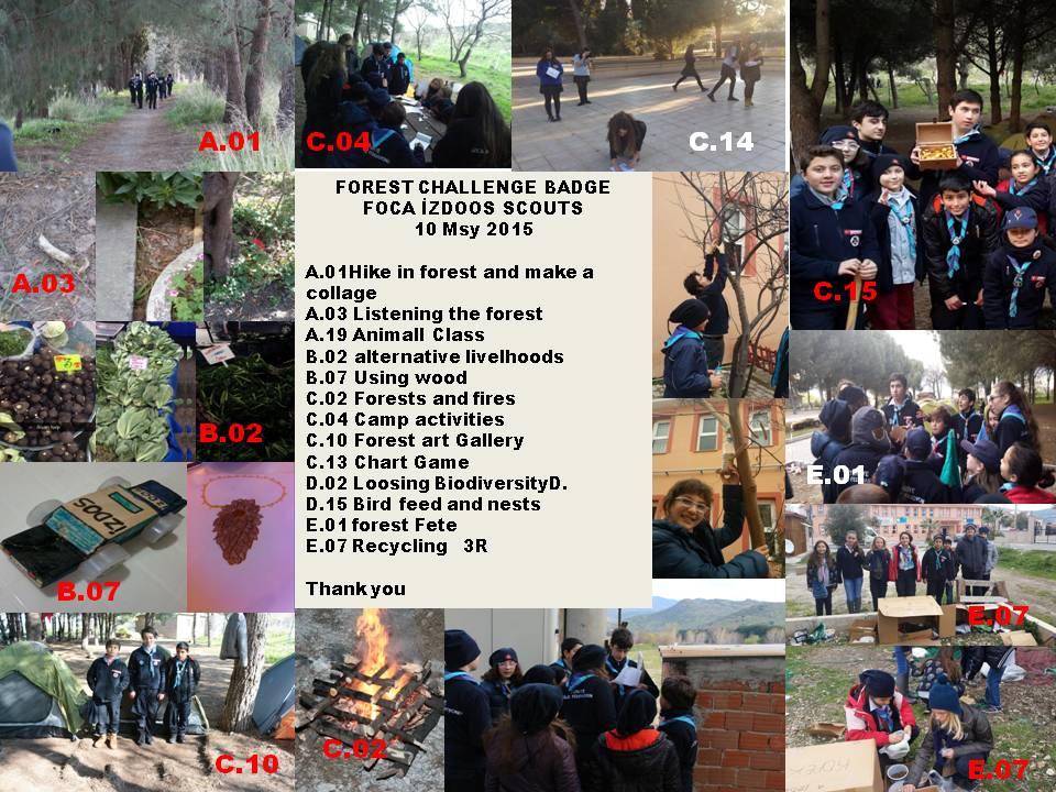 ACHIEVEMENT . FOREST CHALLENGE BADGE YUNGA