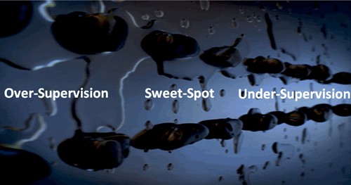 LEADERSHIP TRAINING AND THE CORRECT LEVEL OF SUPERVISON