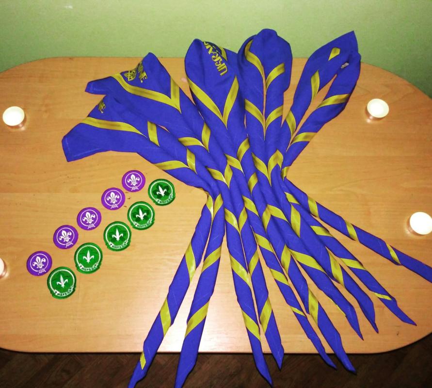 Welcome to the scout life