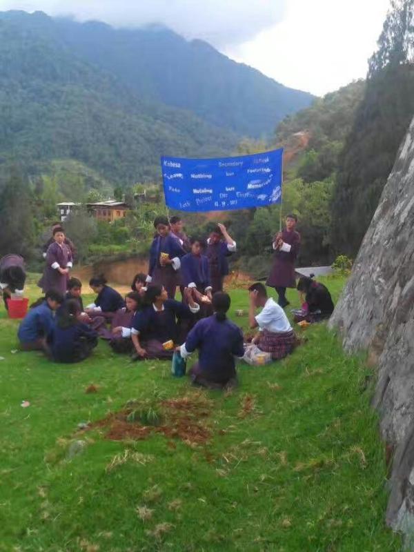 Tree planting on June 2nd 2017