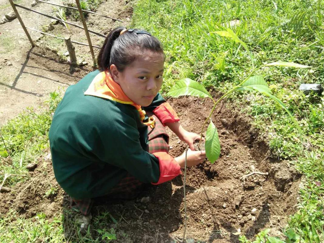 Bhutan Scouts observes National Forestry Day coinciding with Coronation day of 4th King of Bhutan.