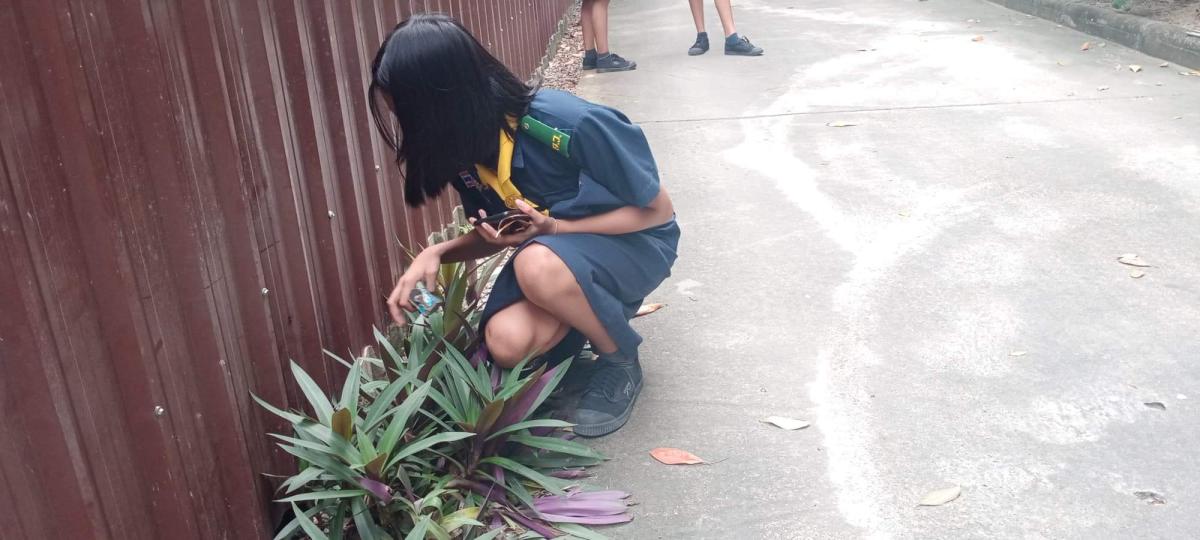 เก้บขยะ