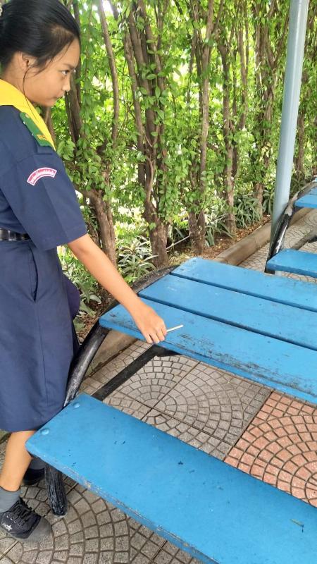 เก็บไม้ไอติมที่โรงเรียนจันสิริ