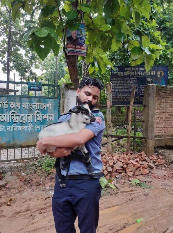 Scout Law 4 Reflection - A Scout is kind to animals