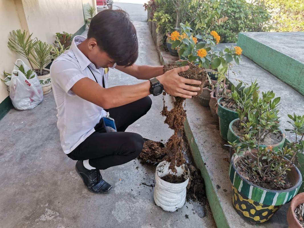INHS Scouts takes action on climate change