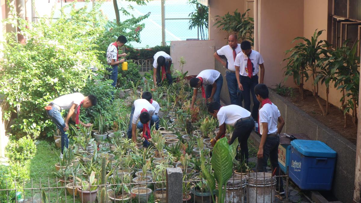 Day 1 Scouts of the World Entry PROJECT