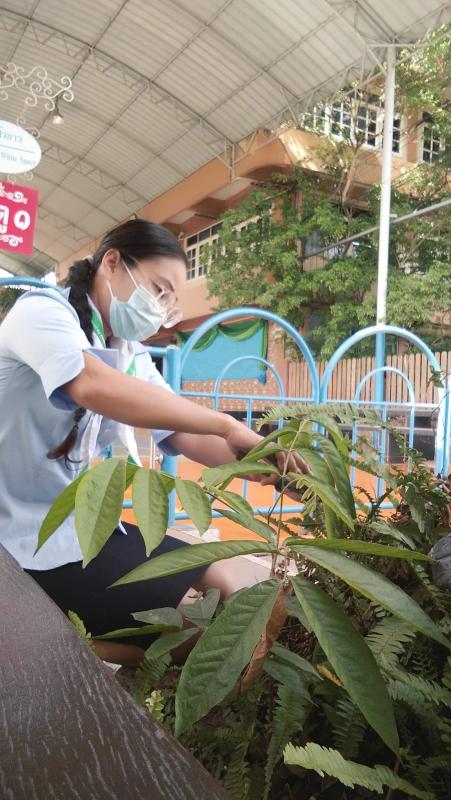 จิตอาสาตัดแต่งกิ่งไม้