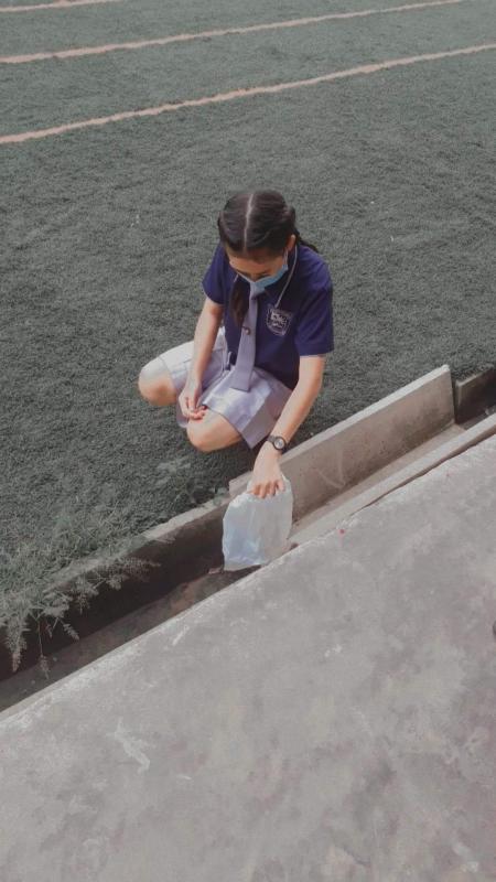 เก็บขยะบริเวนวิลัย