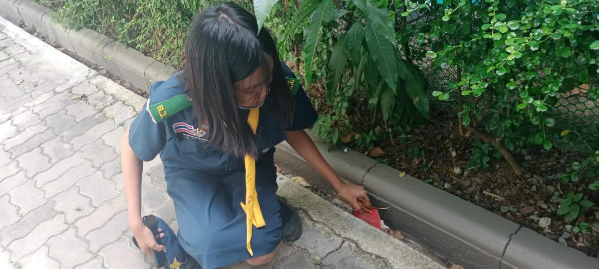 เก็บขยะ