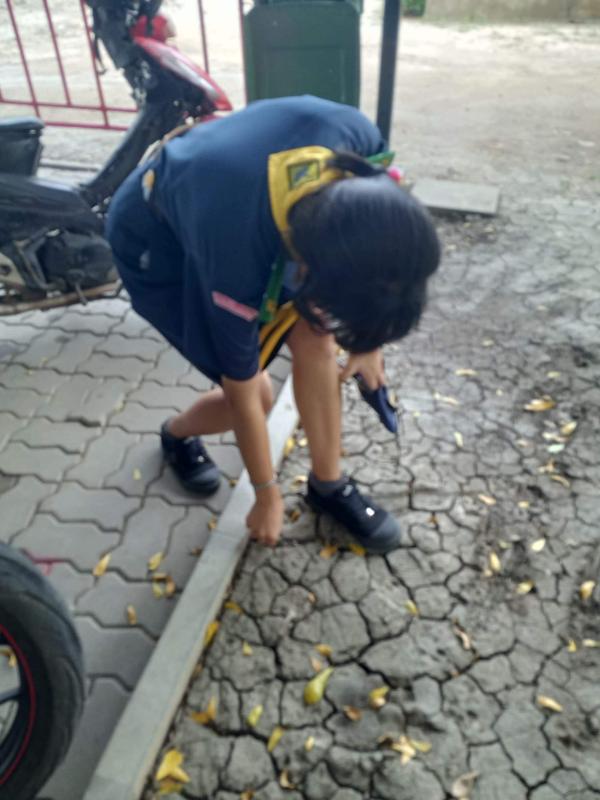เก็บขยะในวิลัย