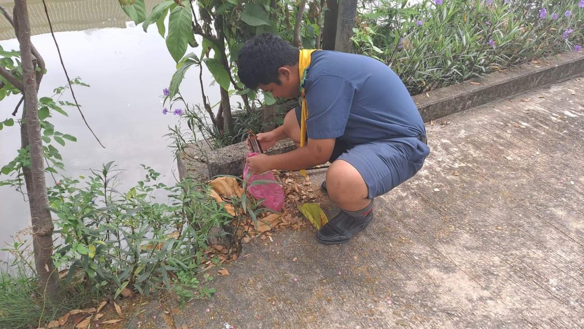 เก็บขยะ