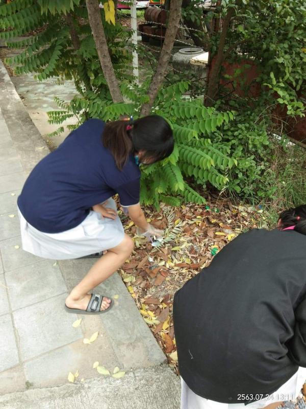 กิจกรรมเก็บขยะ